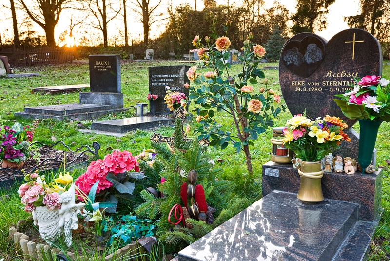 Anima Tierbestattung - Tierkremierung: Gräber am Tierfriedhof