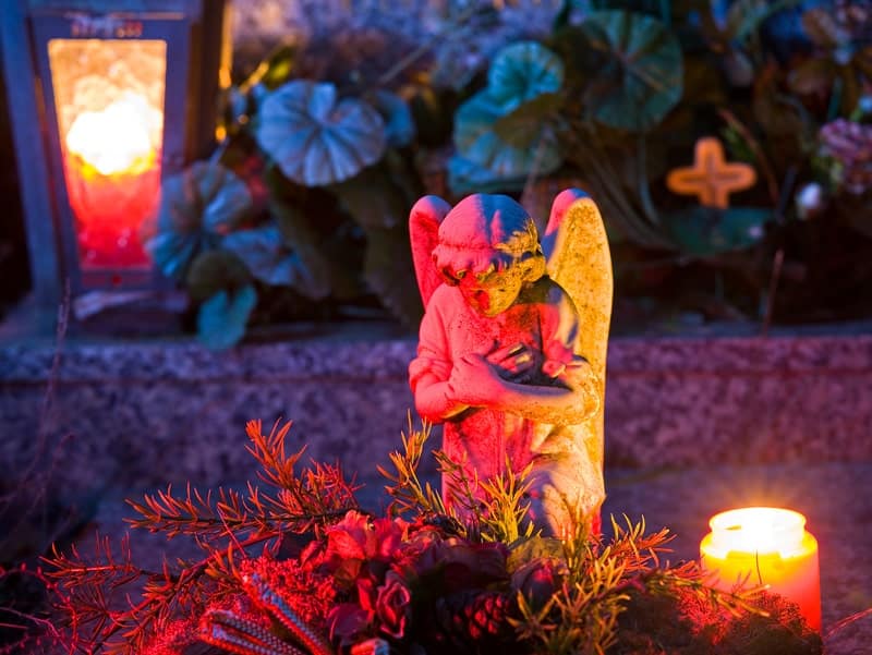 Anima Tierbestattung - Tierkremierung: So funktioniert die Einäscherung ihres Lieblings