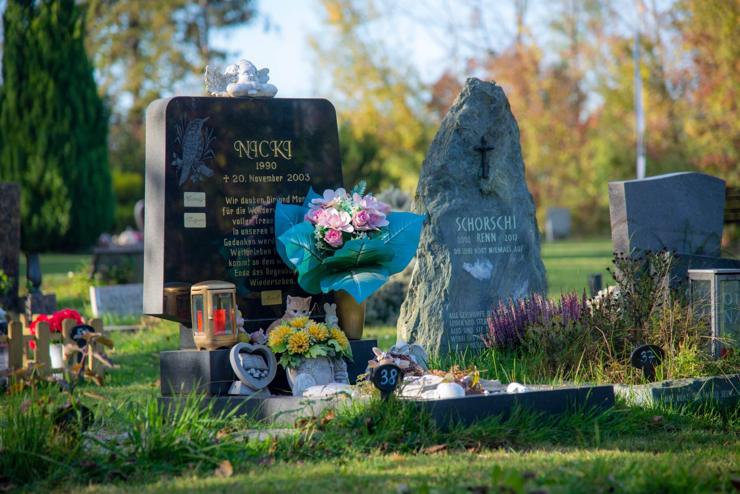 Anima Tierbestattung: Grab am Tierfriedhof Waldesruh