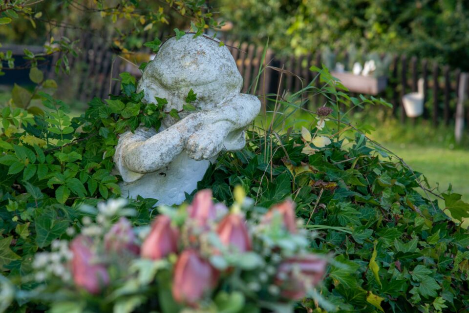 Anima Tierbestattung - Tierfriedhof Waldesruh: Ein Ort der Liebe, des Trostes