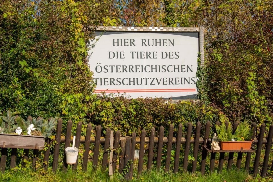 Anima Tierbestattung - Über uns: Die Grabmiete kommt den Tieren des Österreichischen Tierschutzvereins zugute