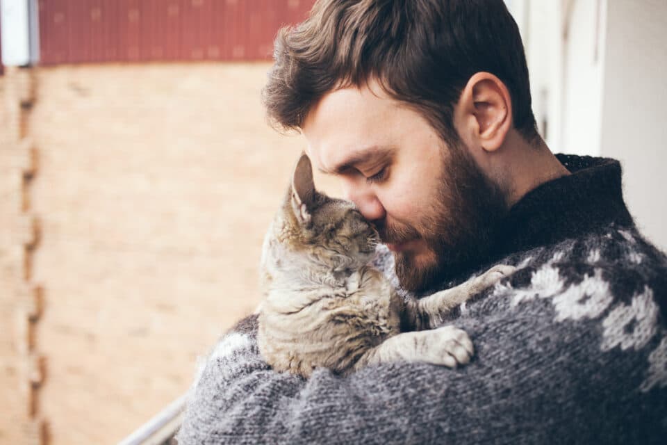 Anima Tierbestattung: Wir helfen Ihnen in dieser schwierigen Zeit